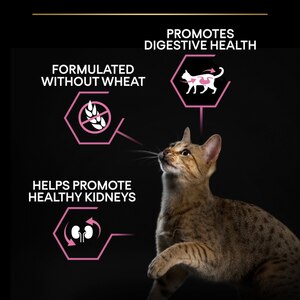 Pro Plan Delicate Sensitive Digestion Skin Adult Turkey Dry Cat Food 3kg